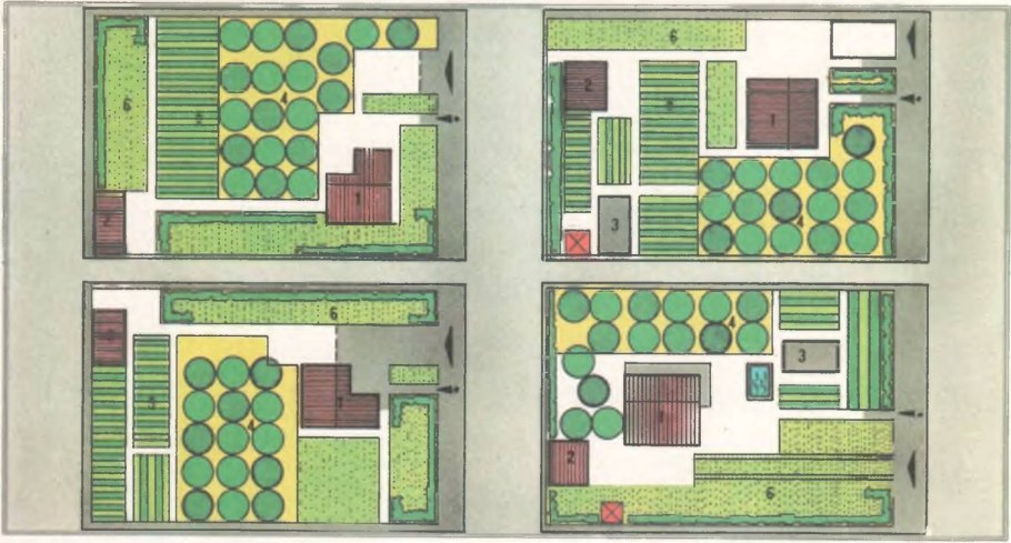 Планирование плодового сада на участке