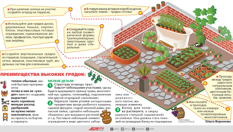 Расположение грядок на дачном участке по сторонам света схема