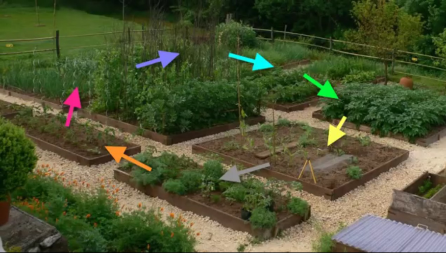 Планировка сада деревьев на участке