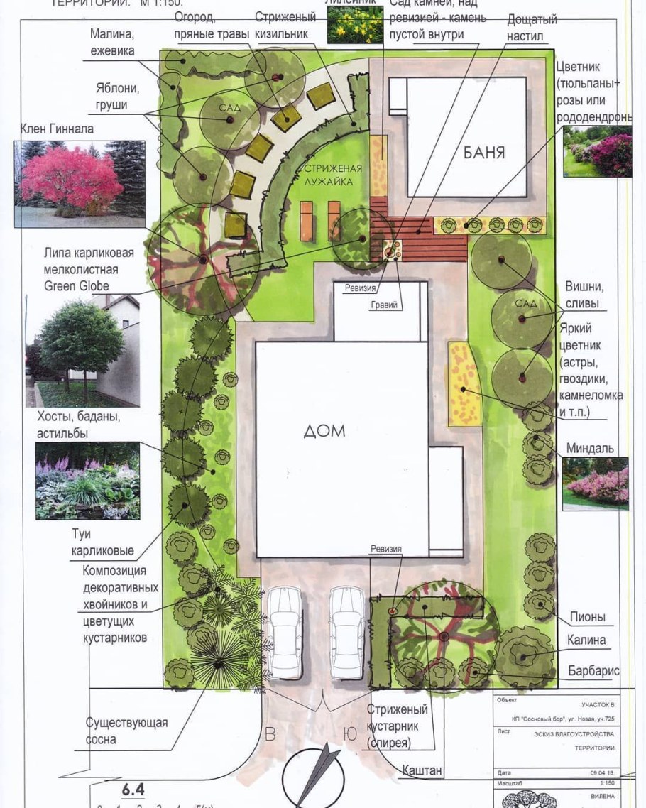 Генплан участка