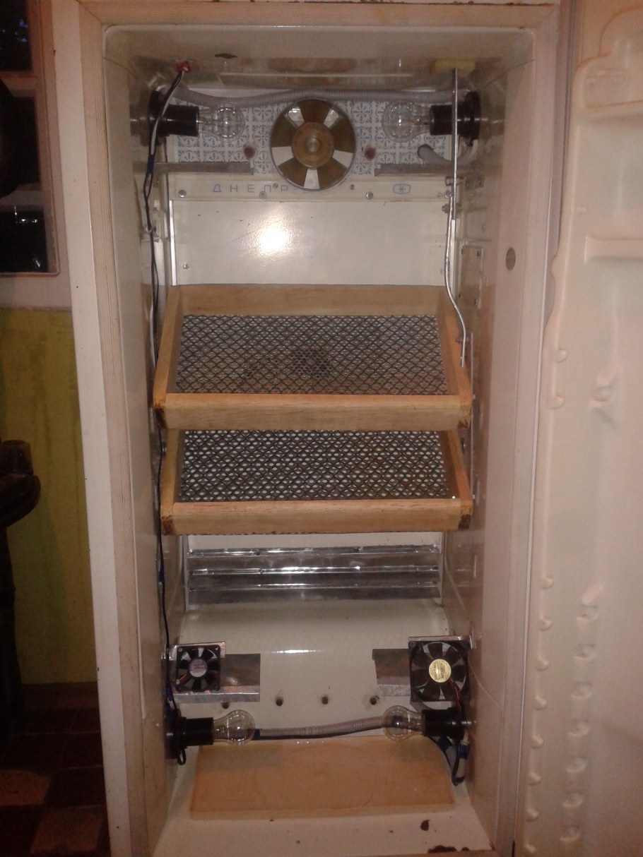 Инкупатор изхаладеника