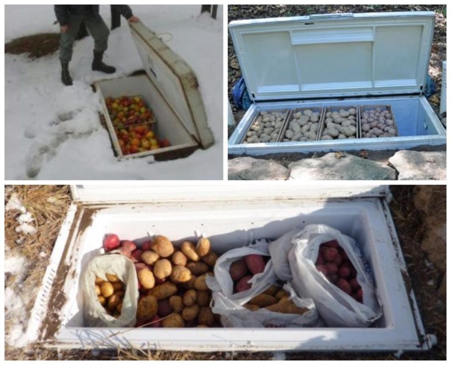 Погреб из старого холодильника