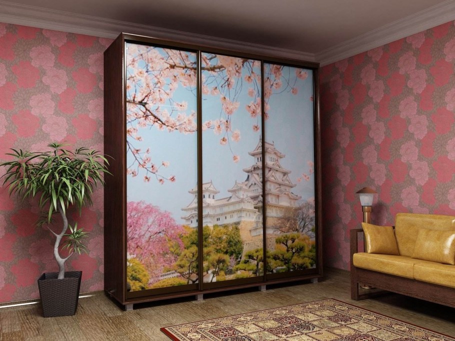 Шкаф с фотопечатью в интерьере