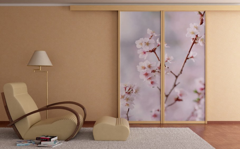 Шкаф купе с фотопечатью