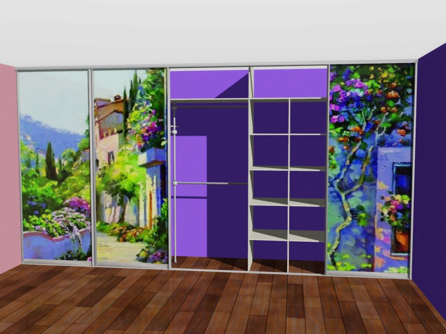 Шкаф купе с фотопечатью