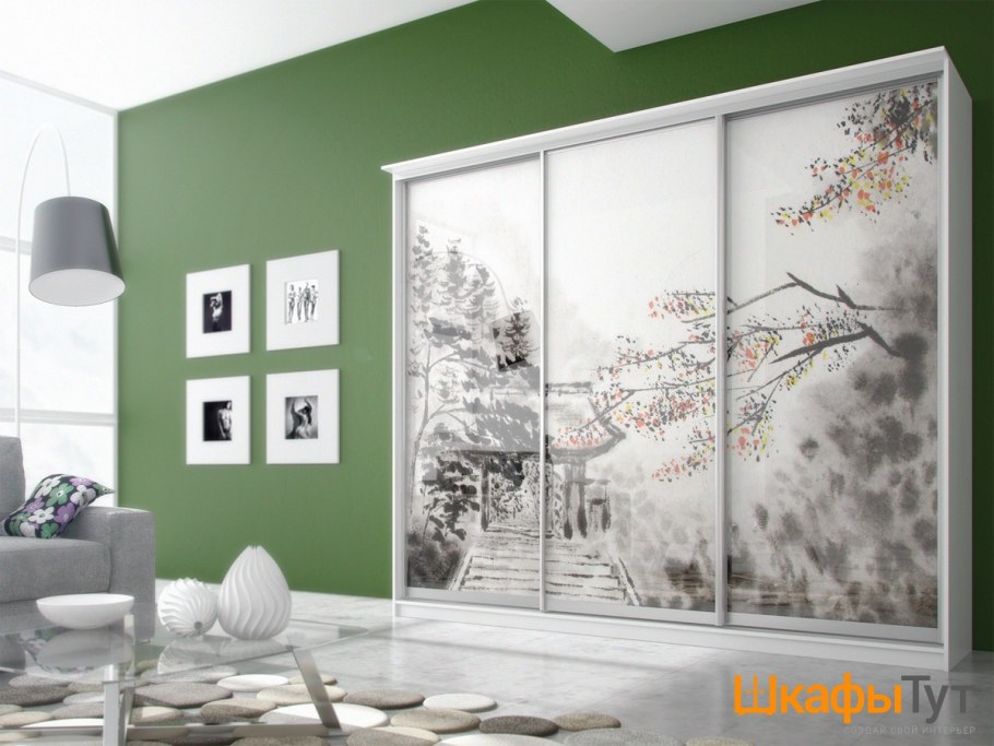 Шкаф купе с фотопечатью