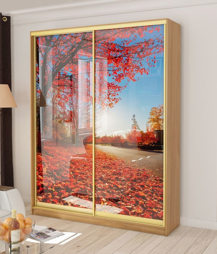 Фотообои на раздвижных дверях