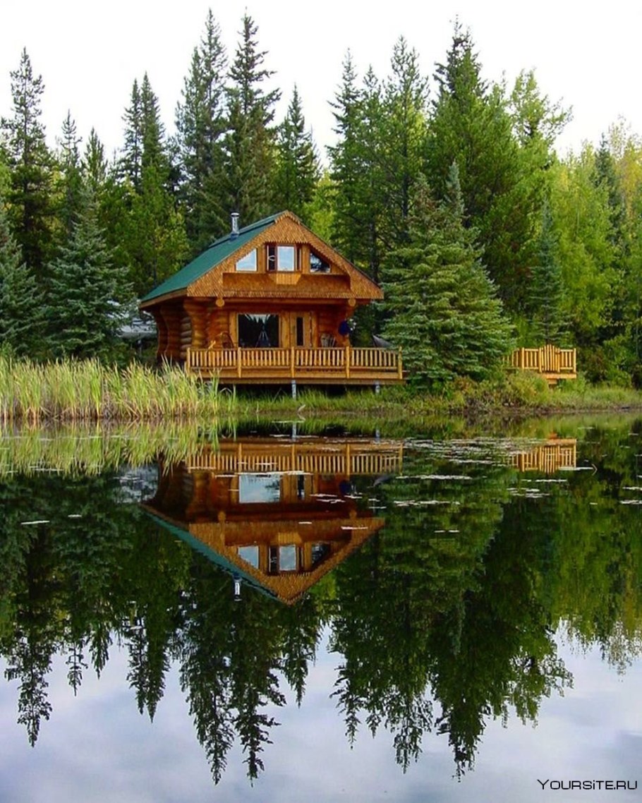 Эко деревня Бабий двор Солнечногорский район