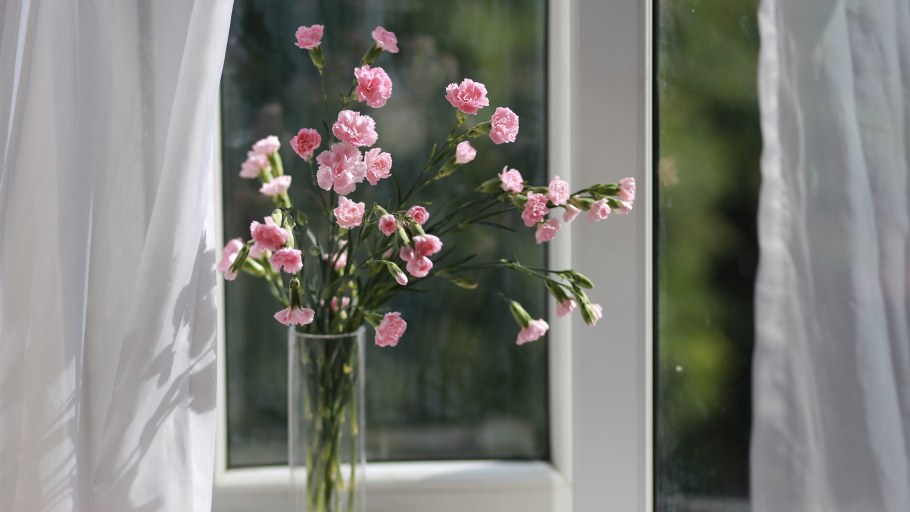 Летние цветы на окне