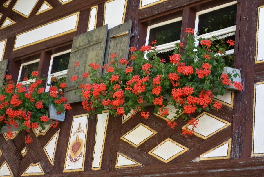 Окно украшенное цветами