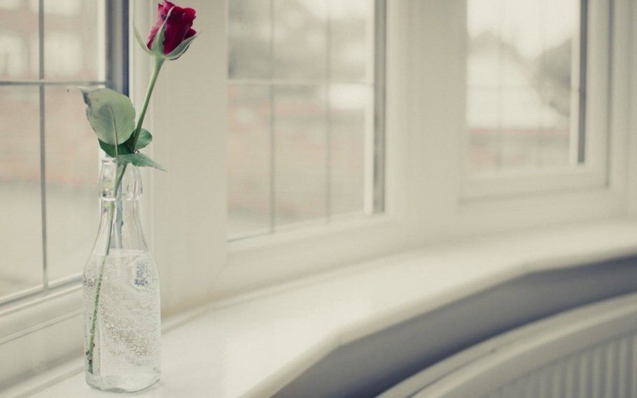 Цветы ваза окно