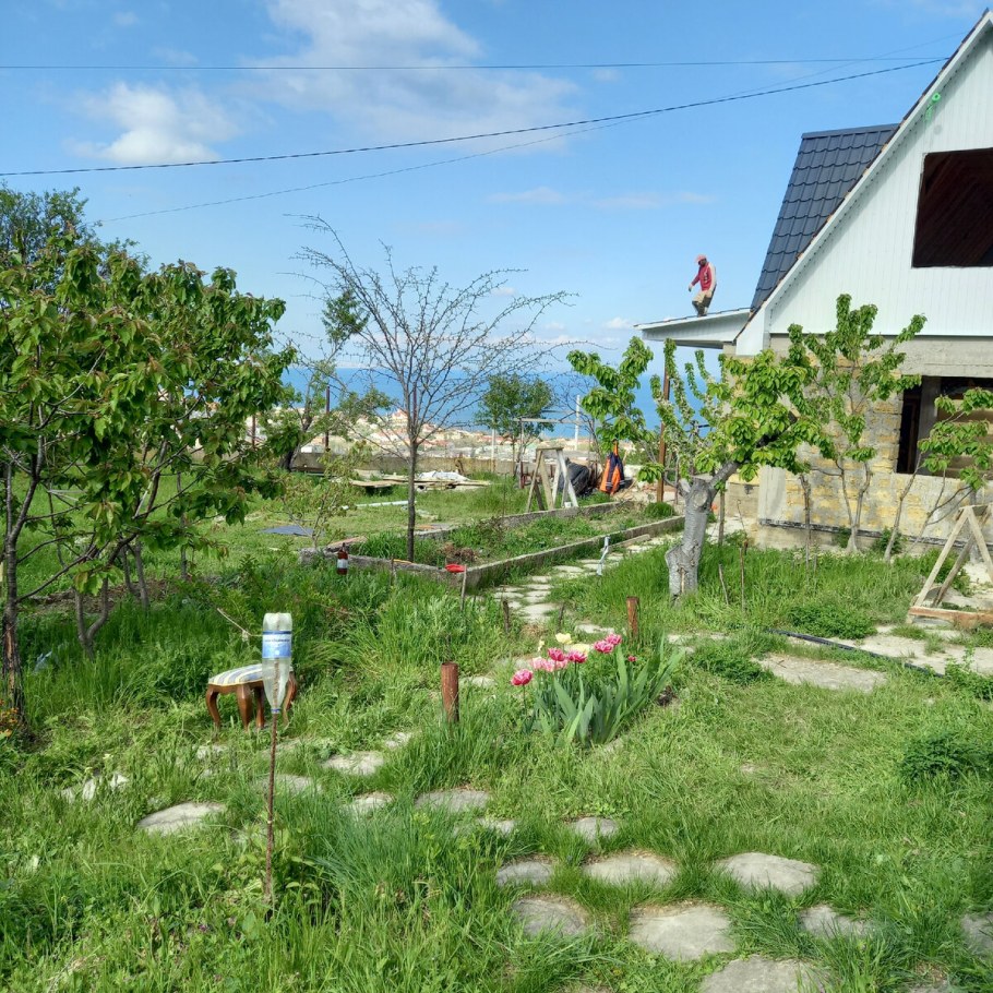 Дачные истории