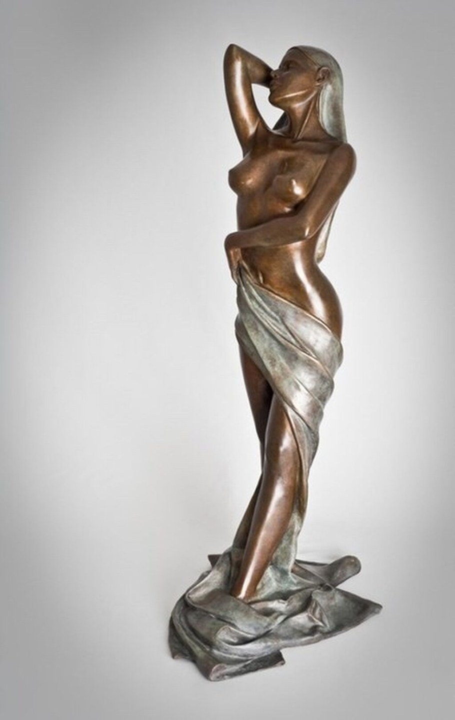 Художник Alain Choisnet