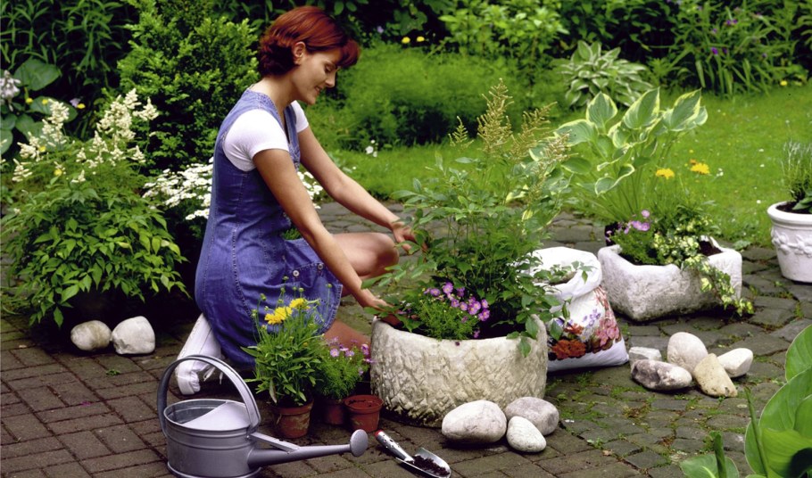 Красота на дачном участке