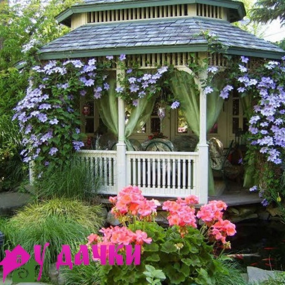 Перголы увитые клематисом
