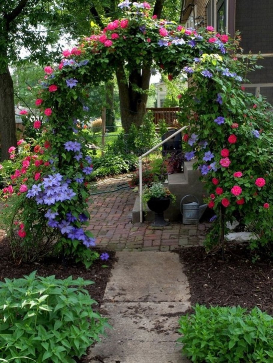 Клематис Palette