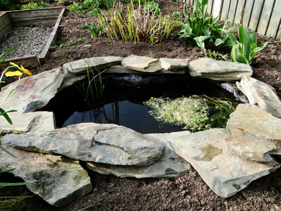 Прудик из ванны на даче