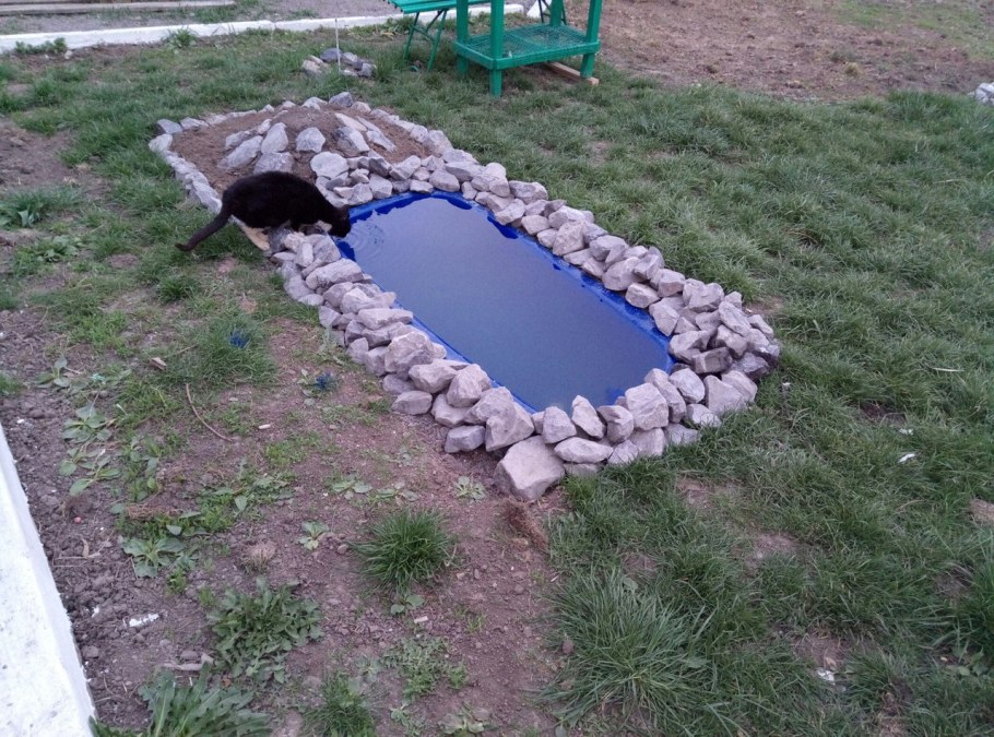 Прудик из старой ванны