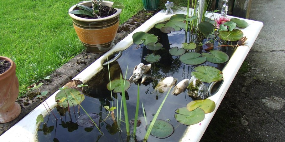 Бассейн из ванны на даче