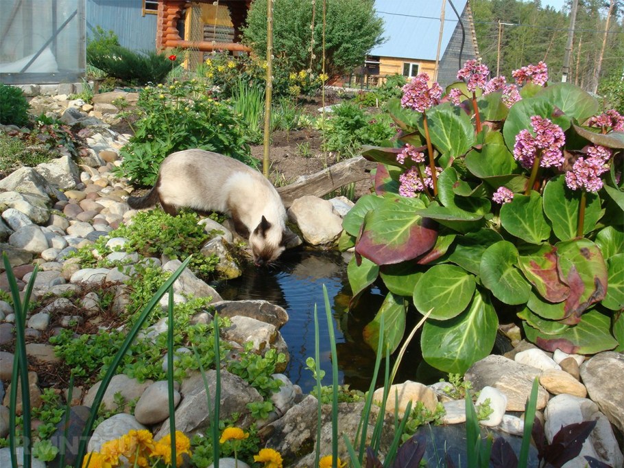 Декор для сада из ванны