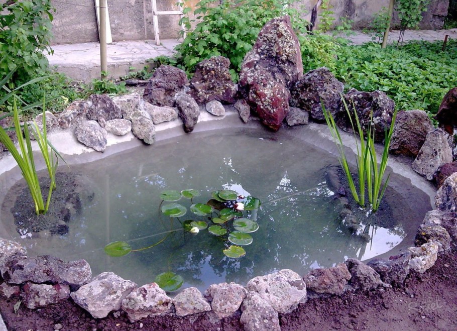 Мини пруд на даче