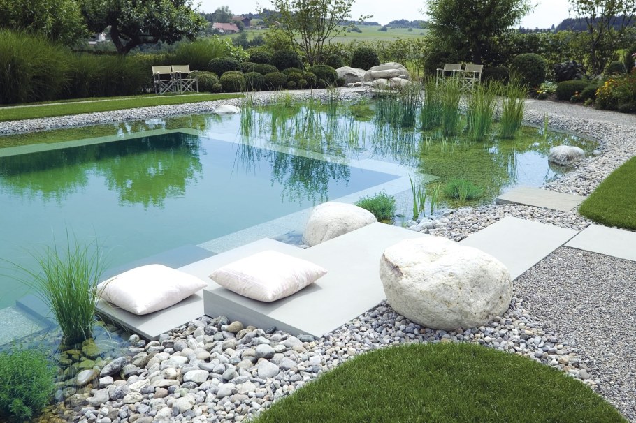 Растения для биоплато