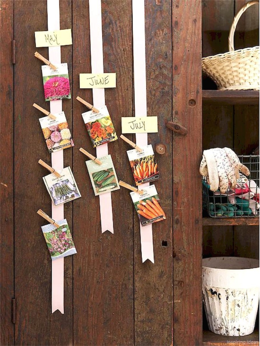 Полезное для дачи