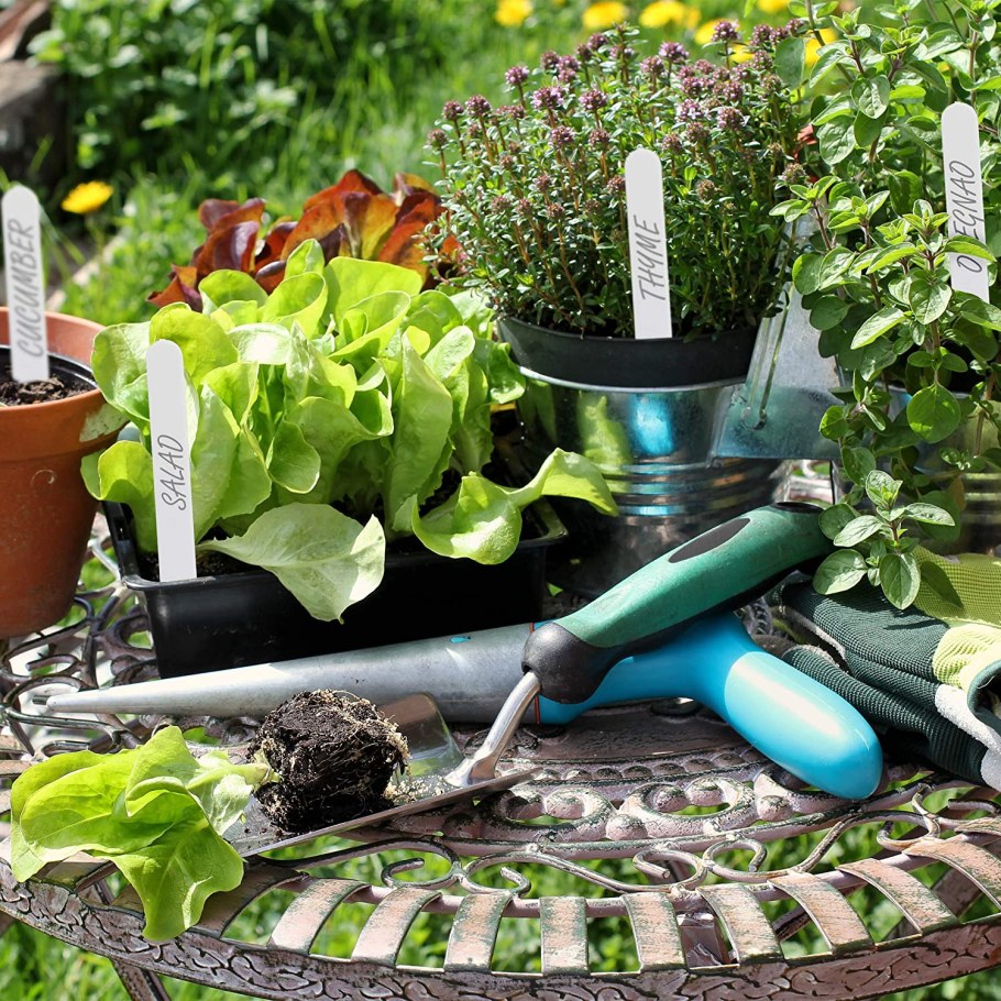 Зелень в пластиковых бутылках