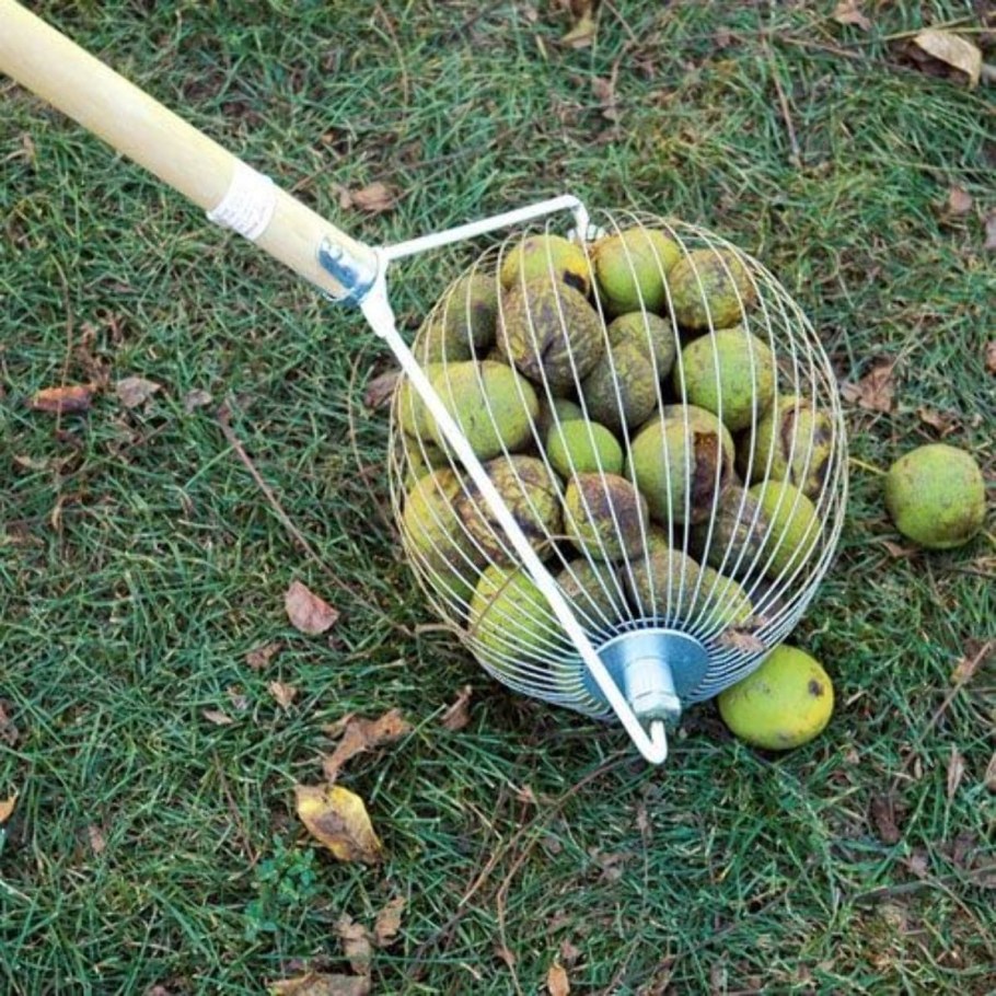 Ограждение для клумбы