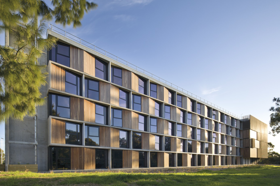 Общежитие в Америке комнаты