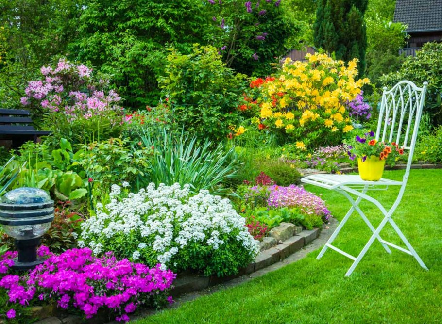 Космея Бабушкин палисадник