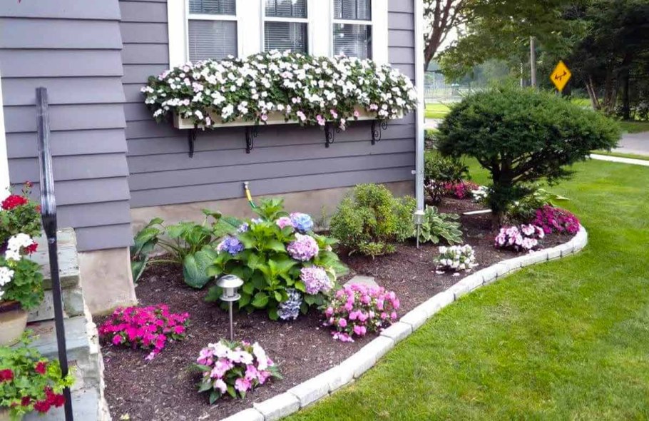 Палисадник Энфилд