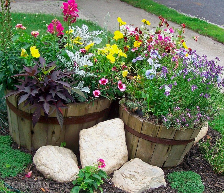 Клумба в горшке