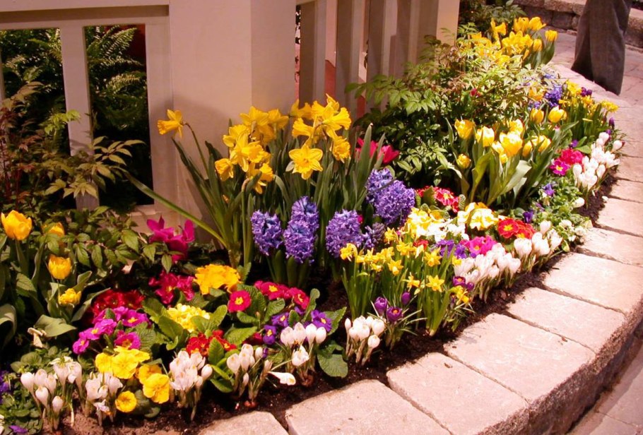 Клумба рабатка