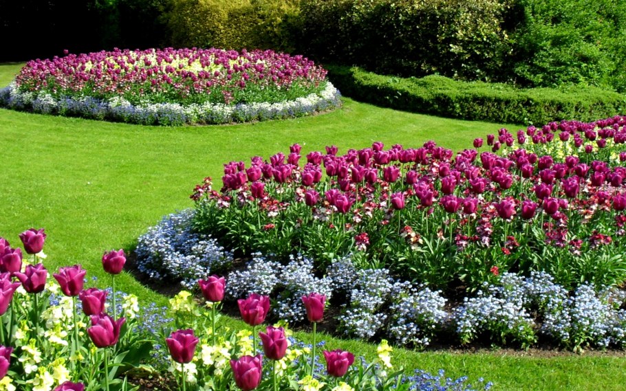 Рабатка Версаль