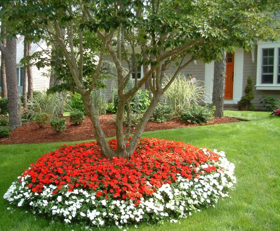Клумба около приствольного круга
