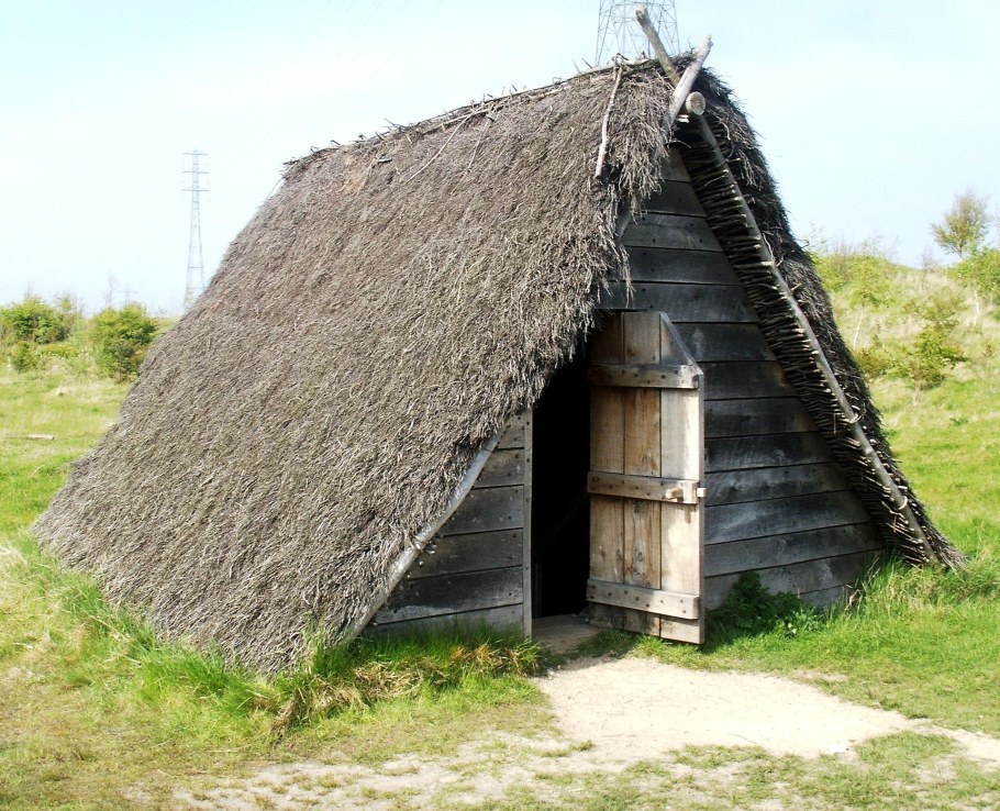 Жилища викингов