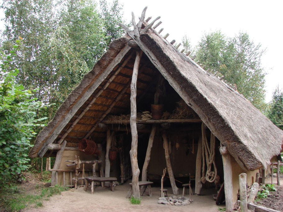 Деревянный дом викингов