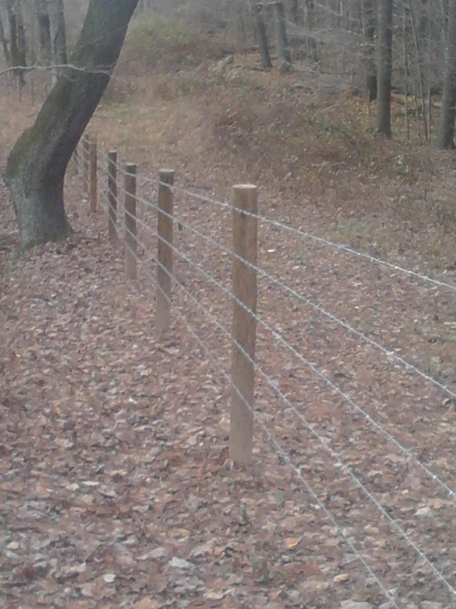 Забор из колючей проволоки