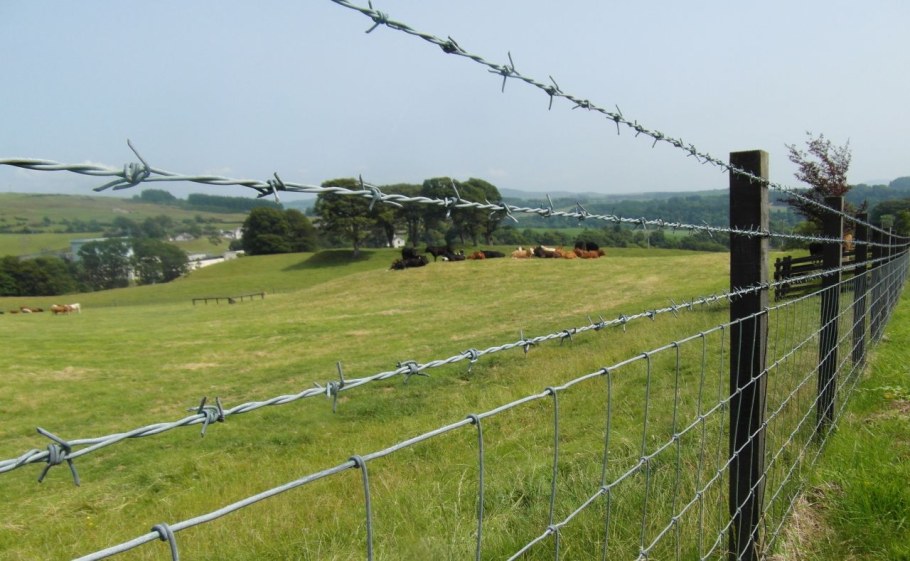 Колючая проволока 400м