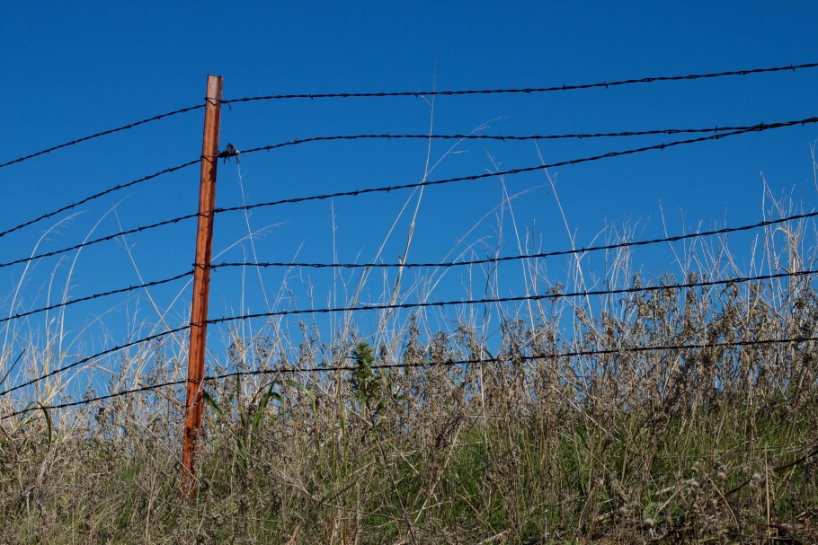 Забор из колючей проволоки