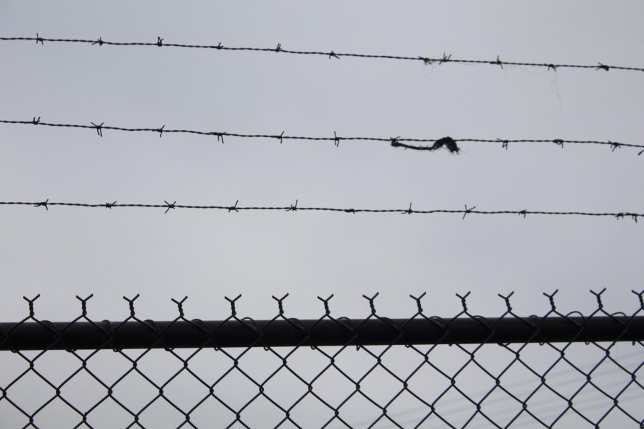 Егоза СББ 900