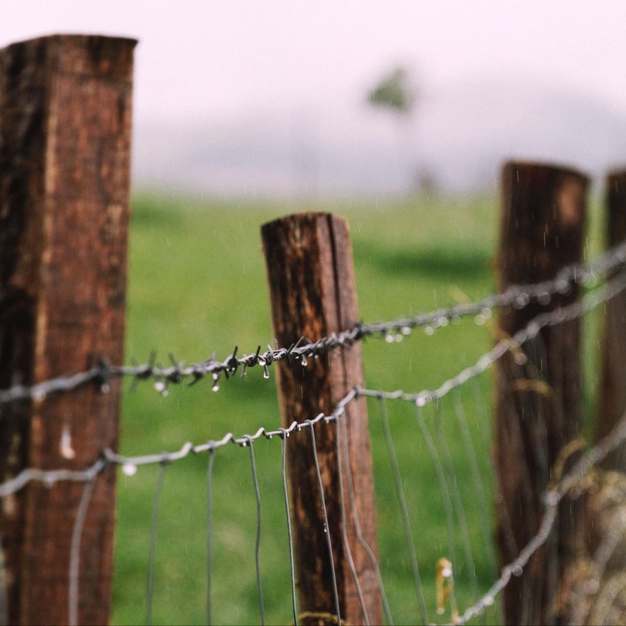 Забор из колючей проволоки