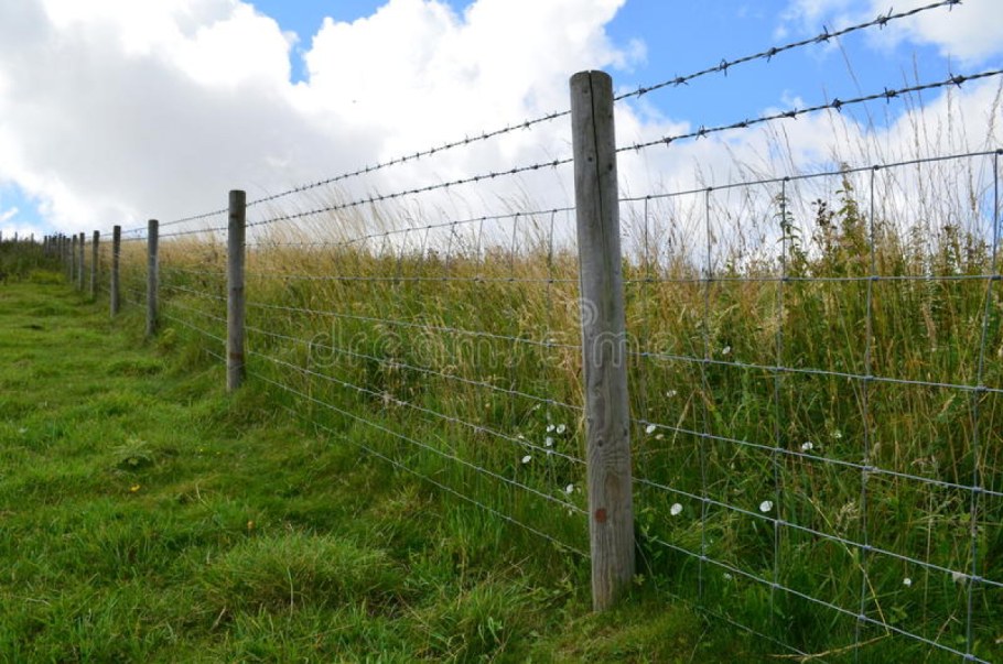 Ограждение поля колючей