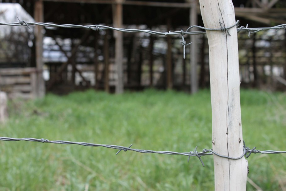 Старый забор с колючей проволокой