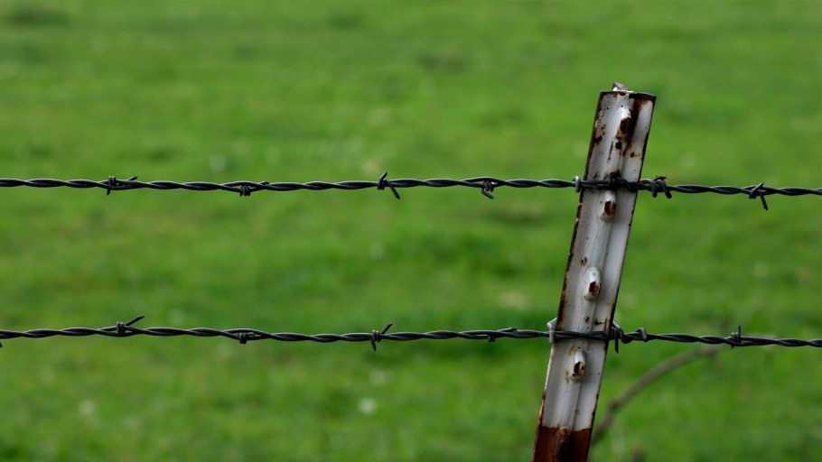 Деревянный забор с колючей проволокой