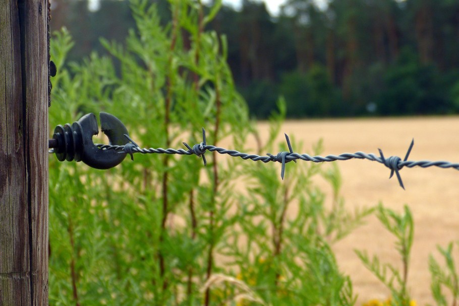 Забор 3д сетка 7024