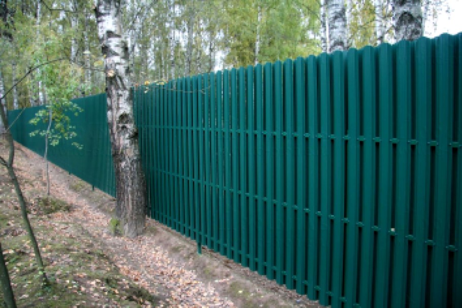 Ивовая изгородь Китай