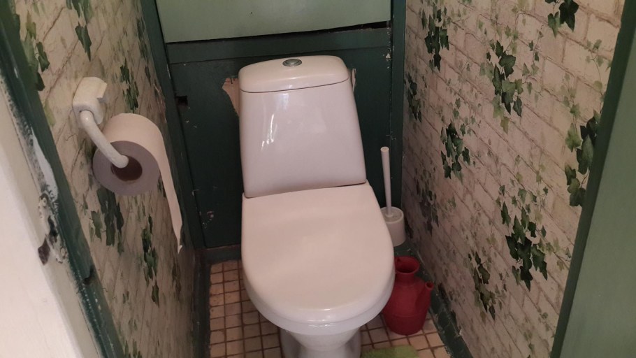 Туалет в темном цвете