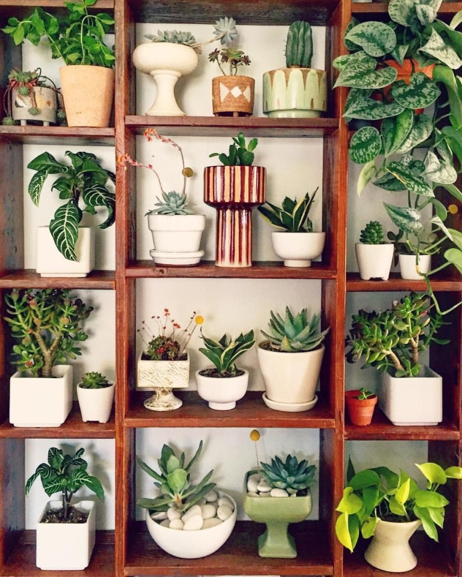 Стеллаж для комнатных растений